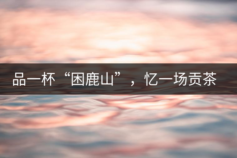 品一杯“困鹿山”，憶一場(chǎng)貢茶情