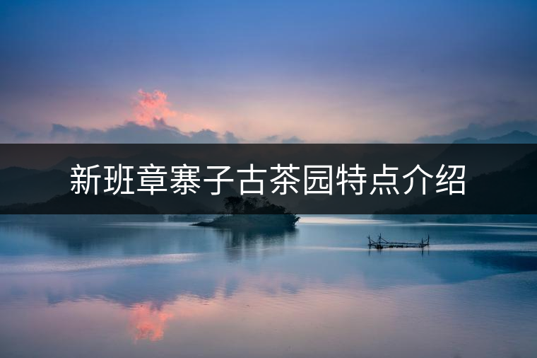 新班章寨子古茶園特點(diǎn)介紹