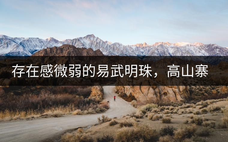 存在感微弱的易武明珠，高山寨古樹茶介紹