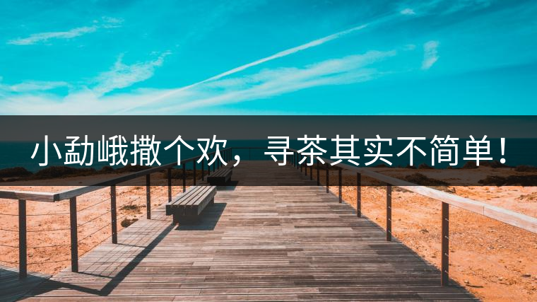 小勐峨撒個(gè)歡，尋茶其實(shí)不簡(jiǎn)單！
