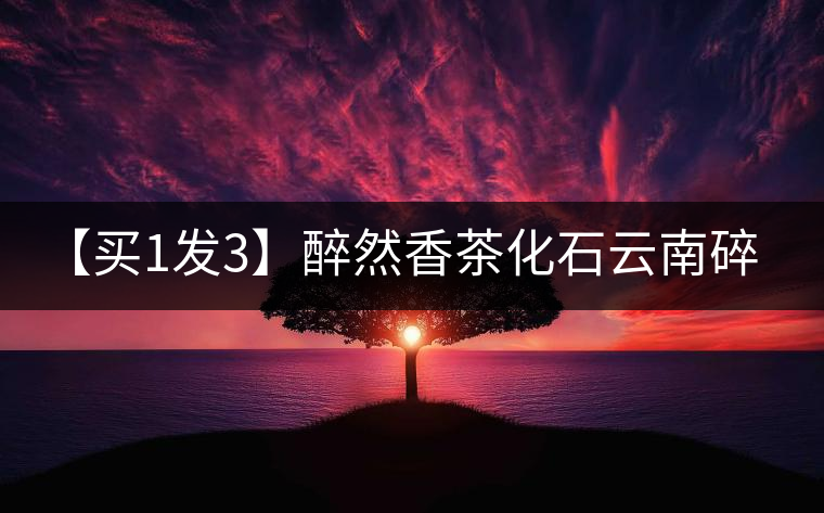 【買1發(fā)3】醉然香茶化石云南碎銀子普洱茶古樹茶糯米香茶葉共375g