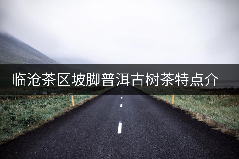 臨滄茶區(qū)坡腳普洱古樹茶特點介紹 臨滄茶區(qū)坡腳普洱古樹茶特點介紹