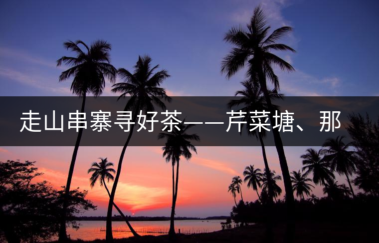 走山串寨尋好茶——芹菜塘、那罕、曼崗、昔歸