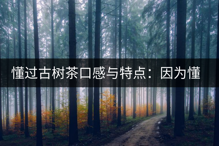 懂過古樹茶口感與特點：因為懂得，所以舍得用余生來珍惜！