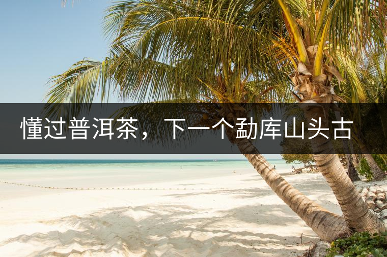 懂過普洱茶，下一個(gè)勐庫山頭古純的引爆點(diǎn)