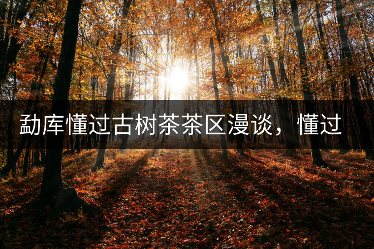 勐庫懂過古樹茶茶區(qū)漫談，懂過古樹茶的特點