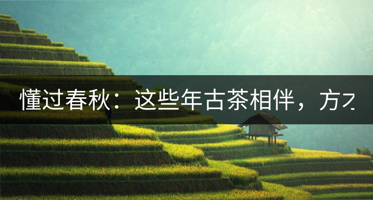 懂過(guò)春秋：這些年古茶相伴，方才懂過(guò)！