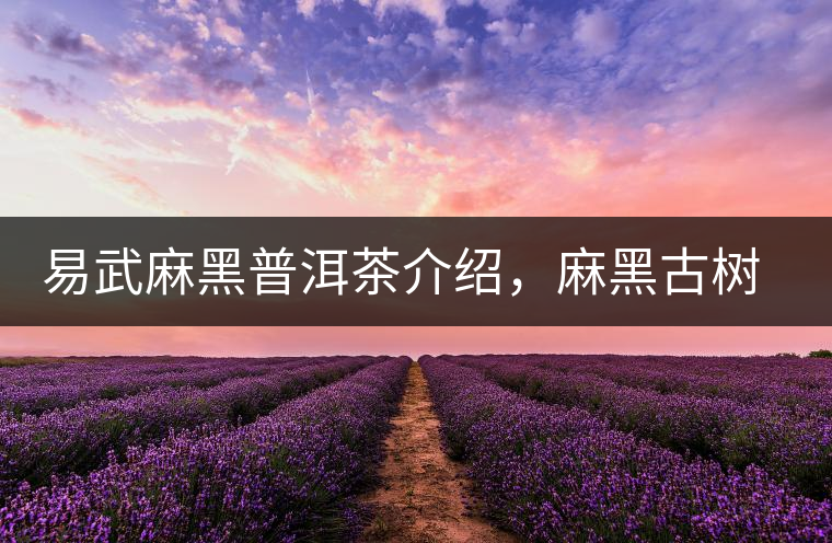 易武麻黑普洱茶介紹，麻黑古樹(shù)茶口感特點(diǎn)