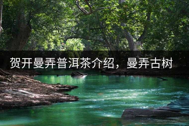 賀開曼弄普洱茶介紹，曼弄古樹茶口感特點