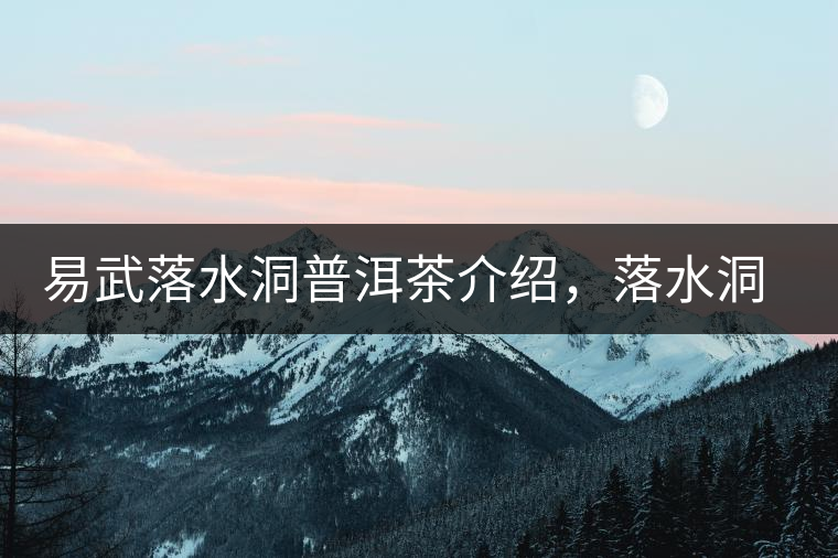 易武落水洞普洱茶介紹，落水洞古樹茶口感特點