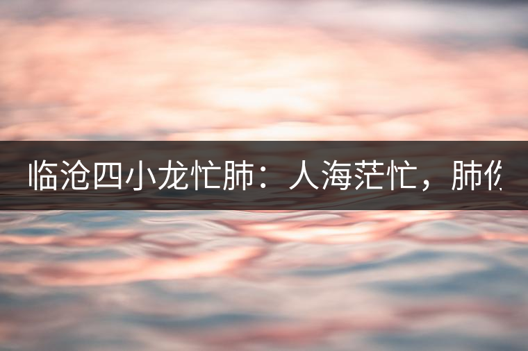 臨滄四小龍忙肺：人海茫忙，肺你莫屬！