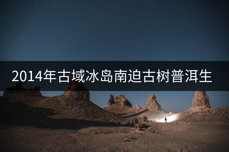 2014年古域冰島南迫古樹(shù)普洱生茶 2014年古域冰島南迫古樹(shù)普洱生茶