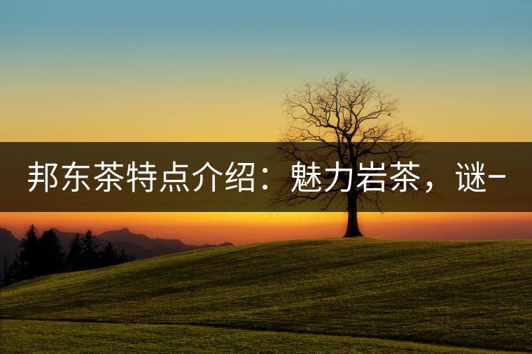 邦東茶特點(diǎn)介紹：魅力巖茶，謎一樣的邦東！