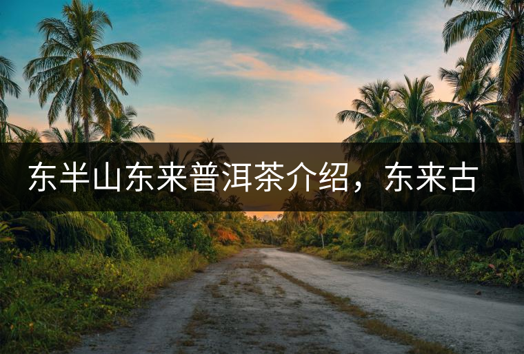 東半山東來普洱茶介紹，東來古樹茶口感特點(diǎn)