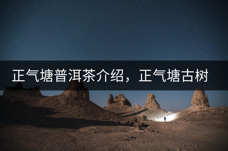 正氣塘普洱茶介紹，正氣塘古樹(shù)茶口感特點(diǎn)