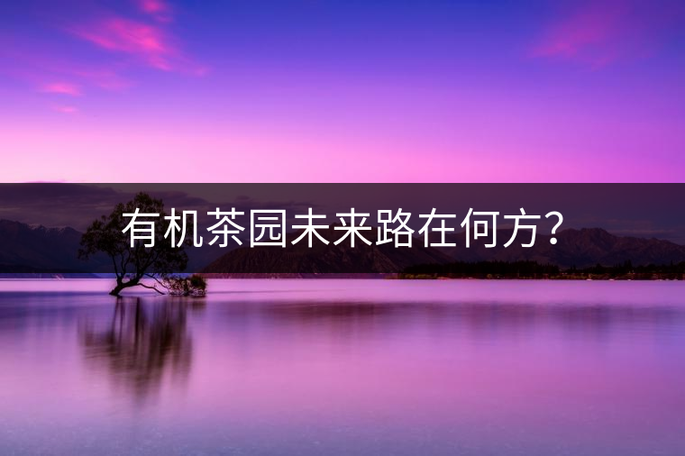 有機(jī)茶園未來(lái)路在何方? 有機(jī)茶園未來(lái)路在何方?