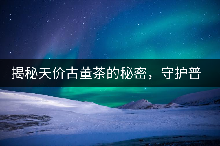 揭秘天價古董茶的秘密，守護普洱茶的健康發(fā)展