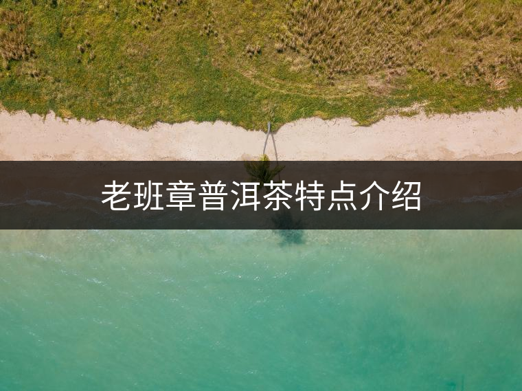老班章普洱茶特點介紹