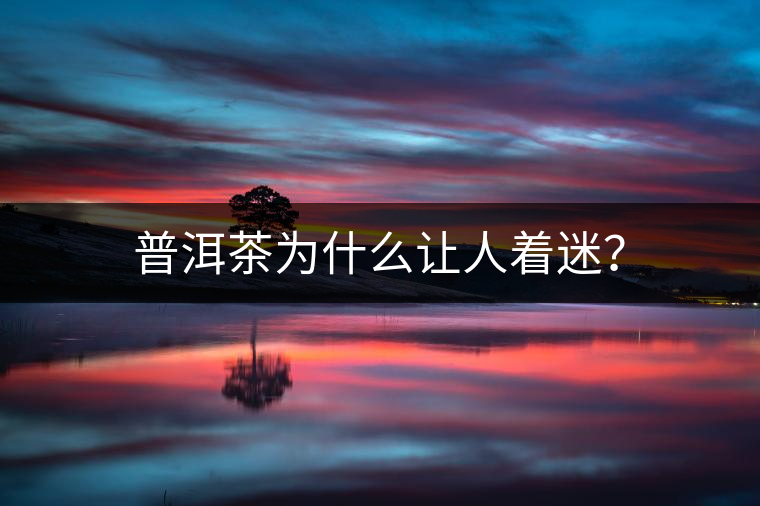 普洱茶為什么讓人著迷？