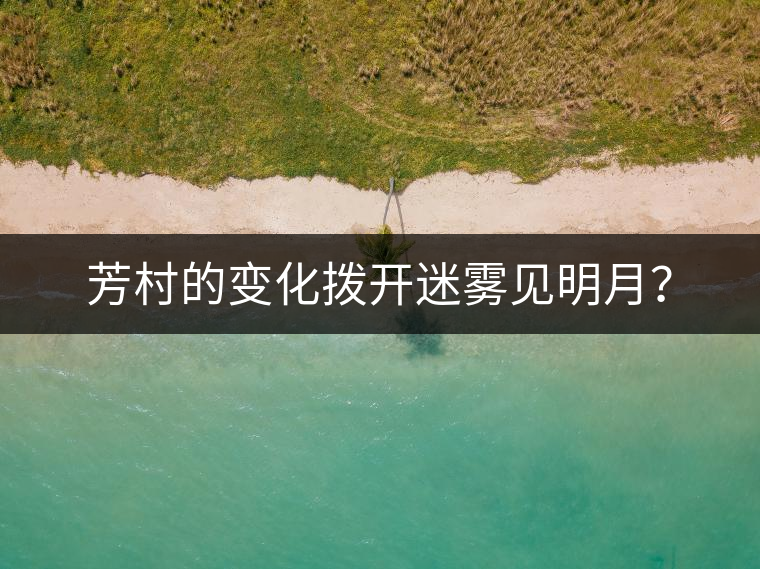 芳村的變化撥開迷霧見明月？