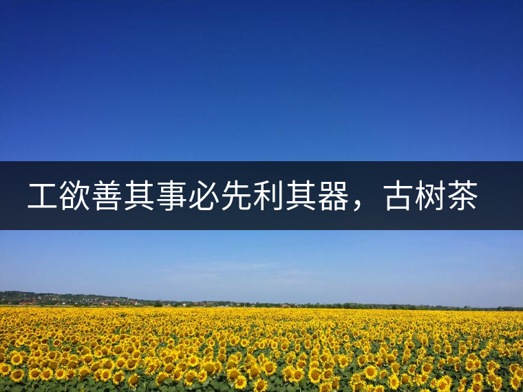 工欲善其事必先利其器，古樹(shù)茶用什么茶器最好？