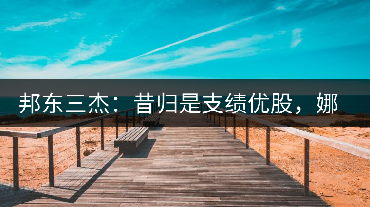 邦東三杰：昔歸是支績優(yōu)股，娜罕是支潛力股