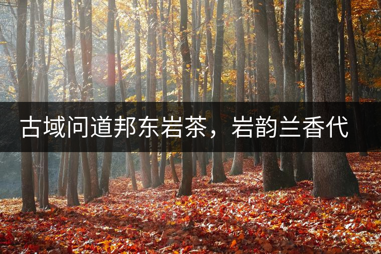 古域問道邦東巖茶，巖韻蘭香代表邦東古樹茶特點