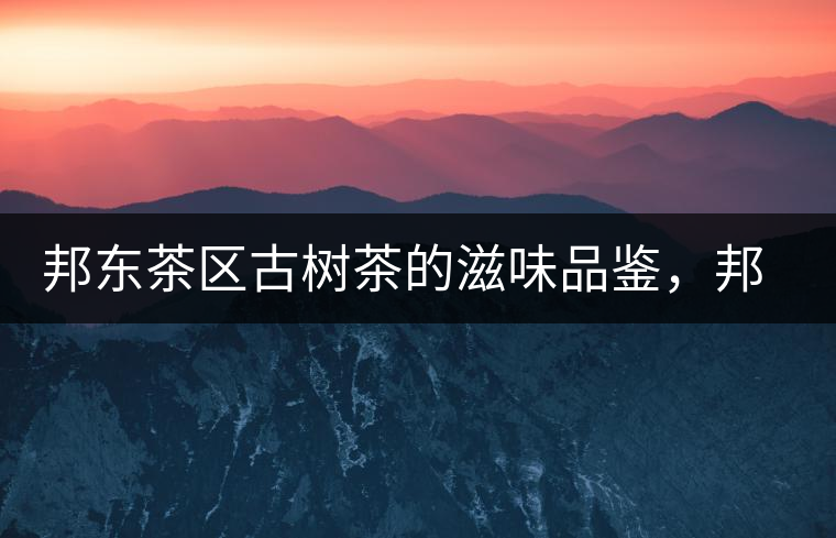 邦東茶區(qū)古樹茶的滋味品鑒，邦東普洱茶特點