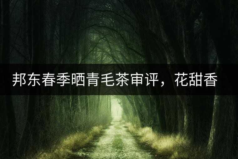 邦東春季曬青毛茶審評(píng)，花甜香高揚(yáng)甘爽潤(rùn)滑