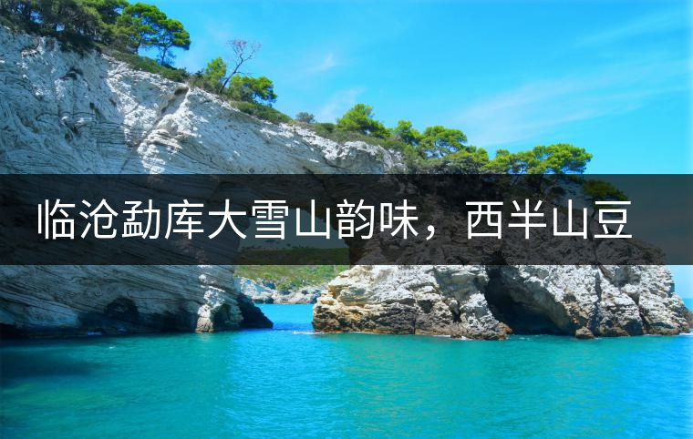 臨滄勐庫(kù)大雪山韻味，西半山豆腐寨古樹茶