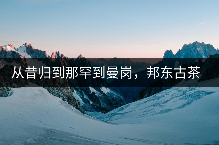 從昔歸到那罕到曼崗，邦東古茶藏著一條規(guī)律！