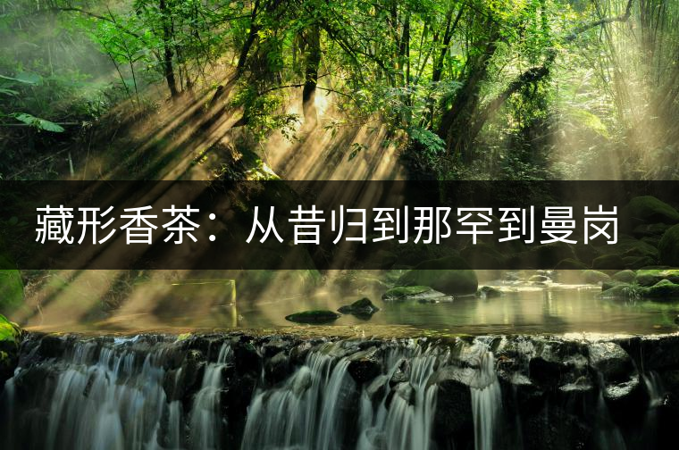 藏形香茶：從昔歸到那罕到曼崗，邦東古茶藏著一條規(guī)律！