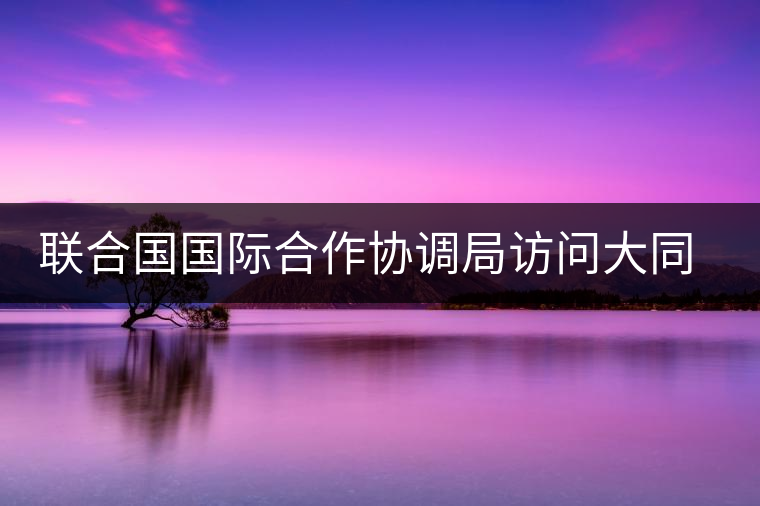聯(lián)合國國際合作協(xié)調局訪問大同世界總部