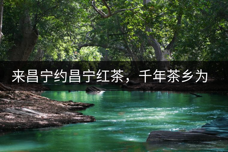 來昌寧約昌寧紅茶，千年茶鄉(xiāng)為您開啟生態(tài)之旅