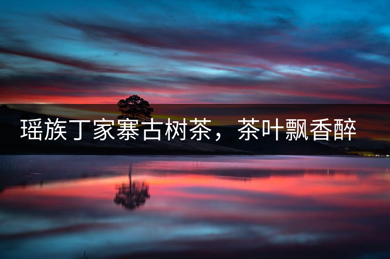 瑤族丁家寨古樹茶，茶葉飄香醉萬家