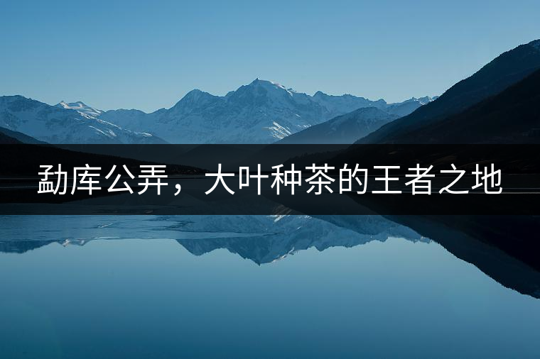 勐庫(kù)公弄，大葉種茶的王者之地