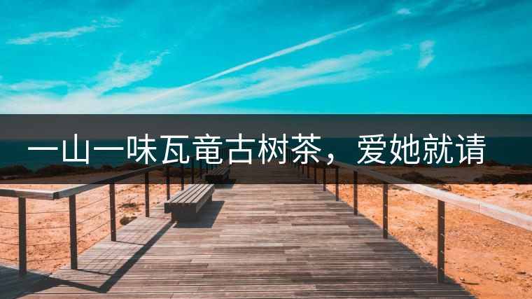 一山一味瓦竜古樹茶，愛她就請尊重她