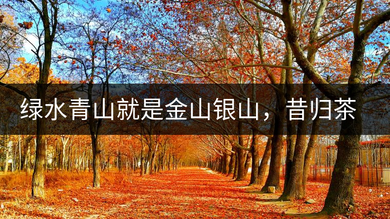 綠水青山就是金山銀山，昔歸茶農(nóng)唱著“茶歌”奔小康