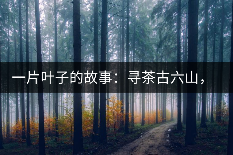 一片葉子的故事：尋茶古六山，倚邦最神秘