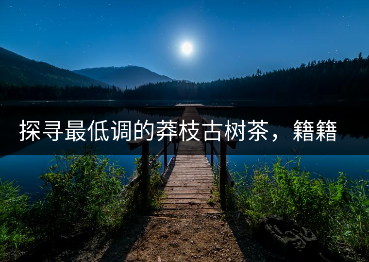 探尋最低調(diào)的莽枝古樹茶,籍籍無名出好茶 探尋最低調(diào)的莽枝古樹茶,籍籍無名出好茶