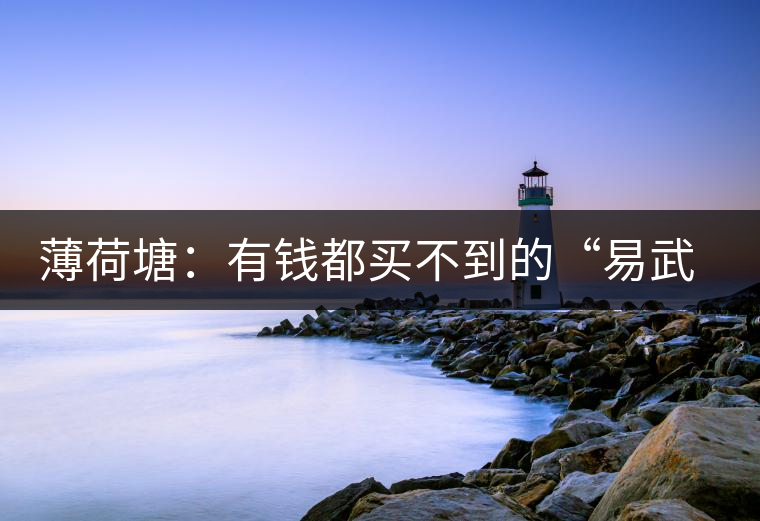 薄荷塘：有錢都買不到的“易武貴胄”，卓爾不群，無(wú)茶可及