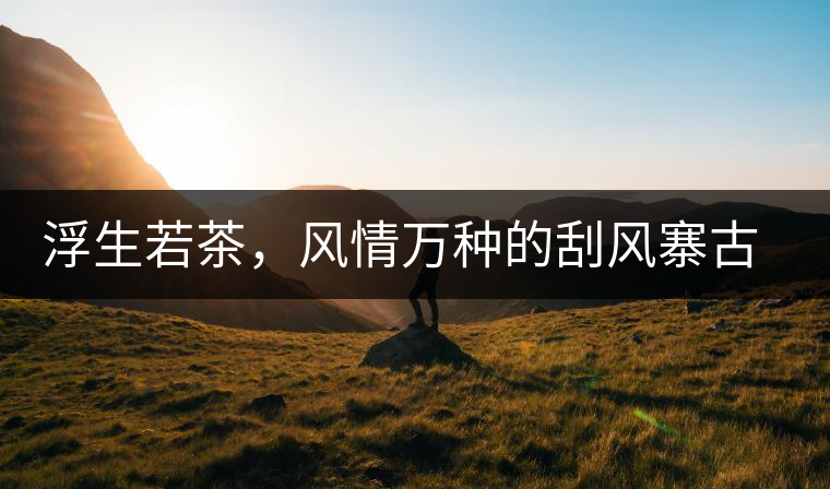 浮生若茶，風(fēng)情萬種的刮風(fēng)寨古樹茶