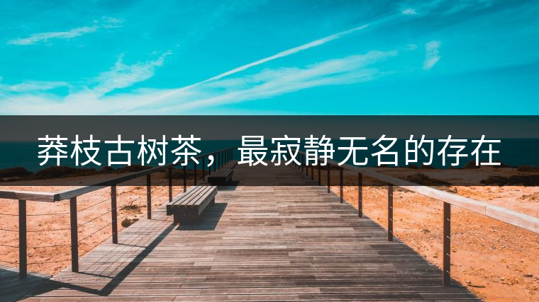 莽枝古樹茶，最寂靜無名的存在