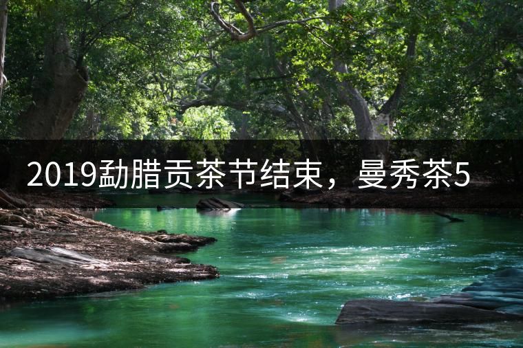 2019勐臘貢茶節(jié)結(jié)束，曼秀茶5公斤107萬奪得金獎(jiǎng)