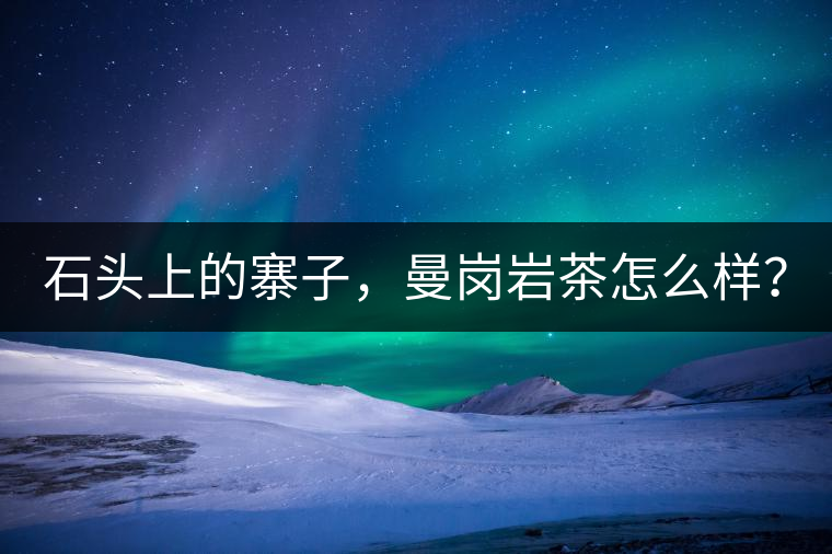 石頭上的寨子，曼崗巖茶怎么樣？