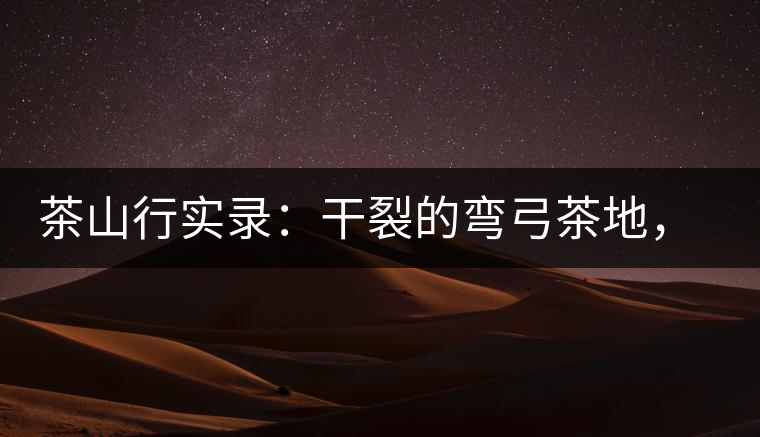 茶山行實(shí)錄：干裂的彎弓茶地，干旱減產(chǎn)已成定局