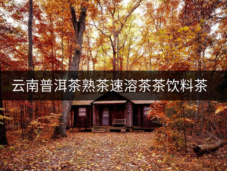 云南普洱茶熟茶速溶茶茶飲料茶粉加嘉茶悅7天茶精萃便攜旅行裝