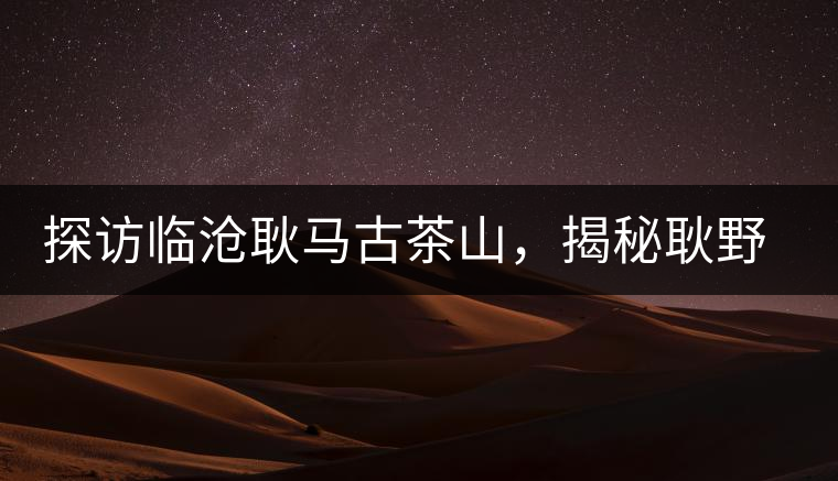 探訪臨滄耿馬古茶山，揭秘耿野生古茶樹群落