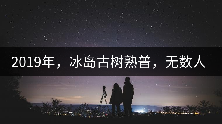 2019年，冰島古樹(shù)熟普，無(wú)數(shù)人在尋找