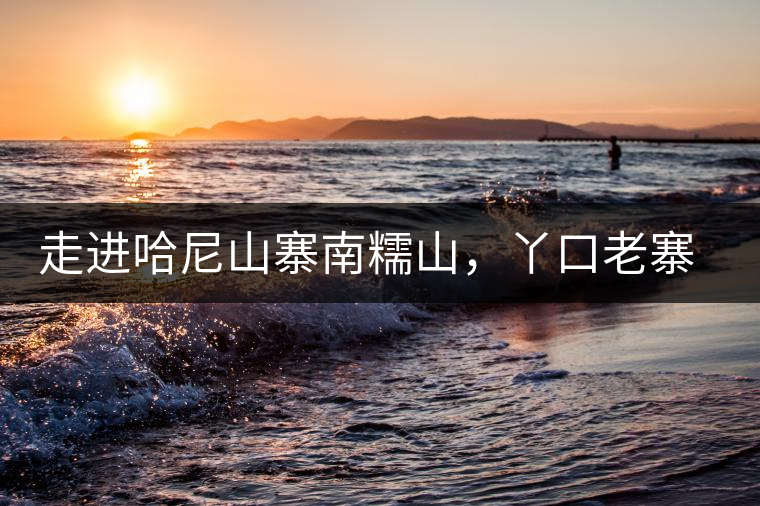 走進(jìn)哈尼山寨南糯山，丫口老寨普洱茶特點(diǎn)